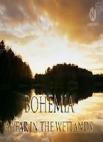 Богемия: Год среди болот
