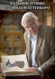 Большие птицы с Дэвидом Аттенборо