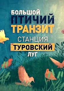 Большой птичий транзит. Станция \"Туровский луг\"