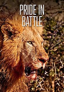 Борьба прайда