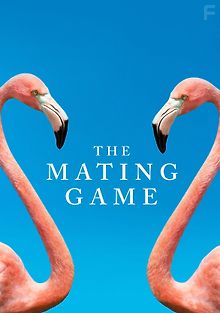 Брачная Игра