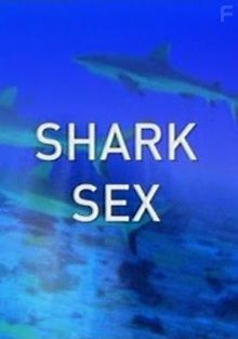 Брачное поведение акул