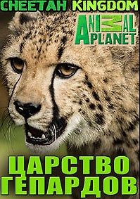 Царство гепардов