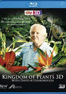 Царство растений