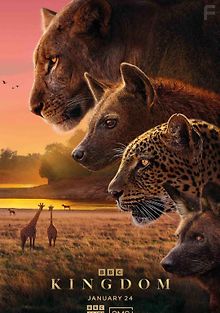 Царство животных