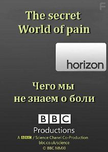 Чего мы не знаем о боли