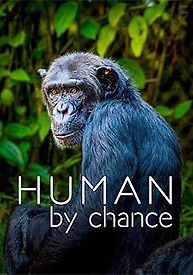 Человек — это случайность? Что заставило мозг расти