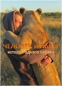 Человек и львы - история одного сафари