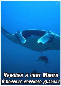 Человек и скат Манта. В поисках морского дьявола