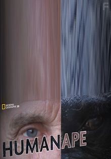 Человекообразные обезьяны