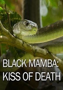 Черная мамба: поцелуй смерти