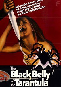 Черное брюхо тарантула