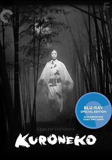 Чёрные кошки в бамбуковых зарослях