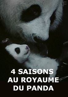 Четыре сезона в королевстве панд