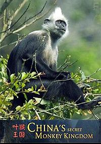 Viasat Nature: Тайное обезьянье царство в Китае