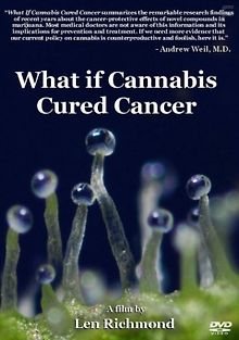 Что если марихуана лечит рак?