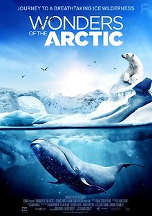 Чудеса Арктики