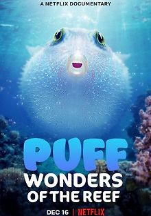 Чудеса кораллового рифа