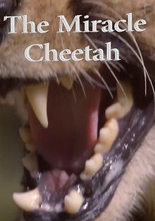 Чудо-гепард