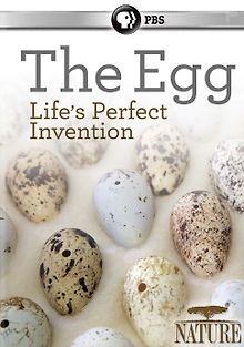 Чудо-яйца с Дэвидом Аттенборо