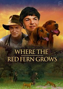 Цветок красного папоротника