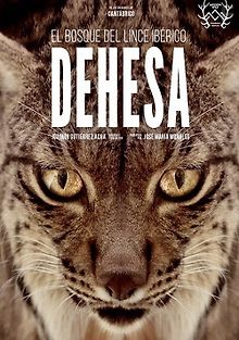 Дехеса: лес пиренейской рыси