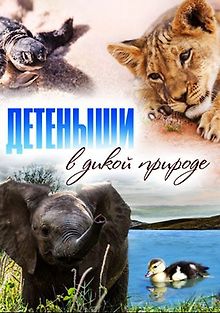 Детеныши в дикой природе