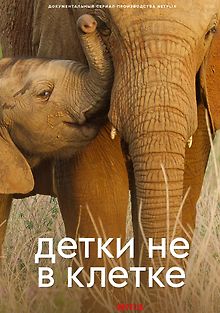 Детки не в клетке