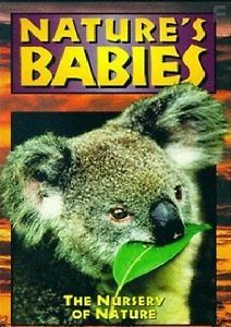 Детство в дикой природе