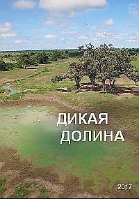 Дикая долина