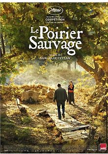 Дикая груша