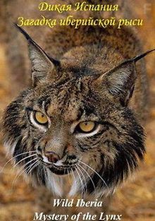 Дикая Иберия. Загадка иберийской рыси