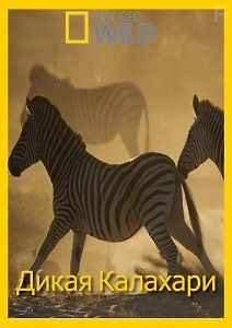 Дикая Калахари
