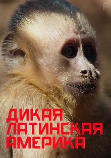 Дикая Латинская Америка