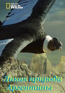 Дикая природа Аргентины. Убийственное побережье