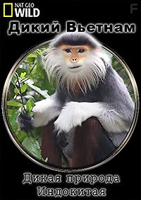 Дикая природа Индокитая. Дикий Вьетнам