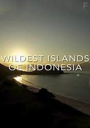 Дикая природа Индонезии