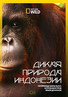 Дикая природа Индонезии