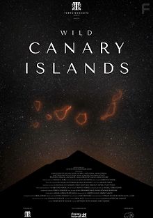 Дикая природа Канарских островов