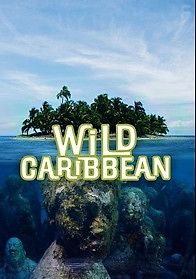 Дикая природа Карибских островов
