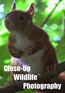 Дикая природа крупным планом