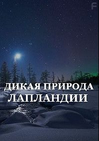 Дикая природа Лапландии