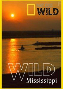 Дикая природа Миссисипи