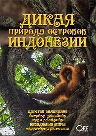 Дикая природа островов Индонезии