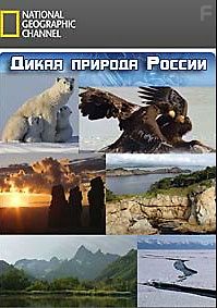 Дикая природа России