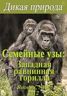 Дикая природа. Семейные узы: Западная равнинная горилла