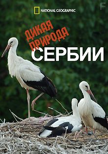 Дикая природа Сербии