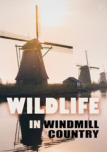 Дикая природа страны ветряных мельниц