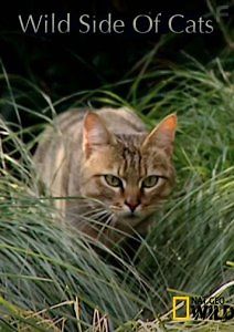 Дикая сторона кошек