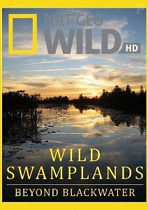 Дикие болота